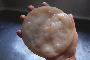  วิธีการเติบโต kombucha