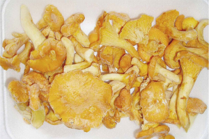 วิธีการแช่แข็ง chanterelles สำหรับฤดูหนาว