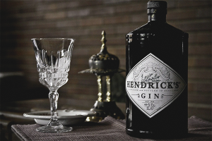  วิธีการดื่ม gin