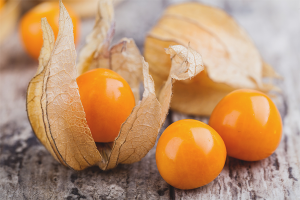  ประโยชน์และผลเสียของ Physalis