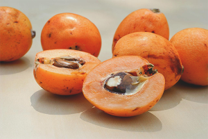  ประโยชน์และอันตรายของ medlar