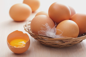  ประโยชน์และความเสียหายของไข่ไก่
