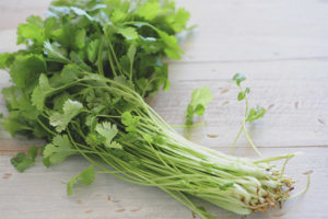  Cilantro ระหว่างตั้งครรภ์