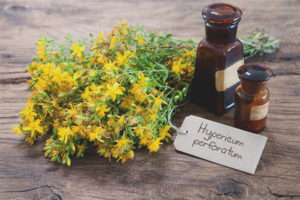  สมบัติการรักษาและข้อห้ามของ Hypericum