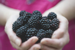  Blackberry ระหว่างตั้งครรภ์