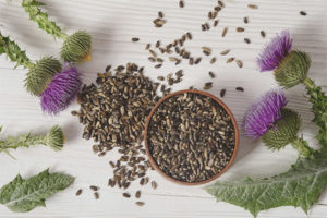  วิธีการใช้ thistle นมสำหรับการลดน้ำหนัก