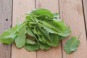  Sorrel ระหว่างให้นมบุตร