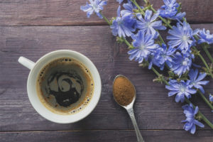  Chicory ในโรคเบาหวาน