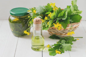 คุณสมบัติทางยาและข้อห้ามของ celandine