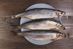  Herring กับโรคเบาหวาน